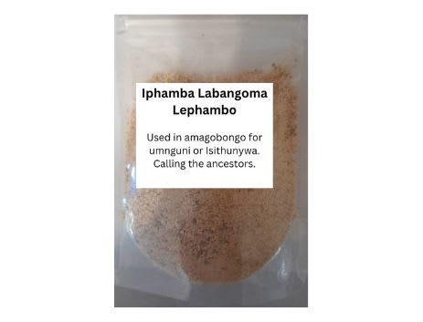 Iphamba Labangoma / Lephambo - Herbs4you