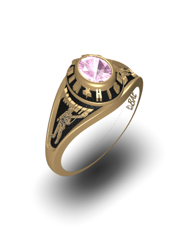 Princess class ring sales