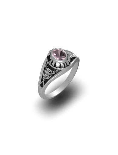 Herff jones high school rings 2025