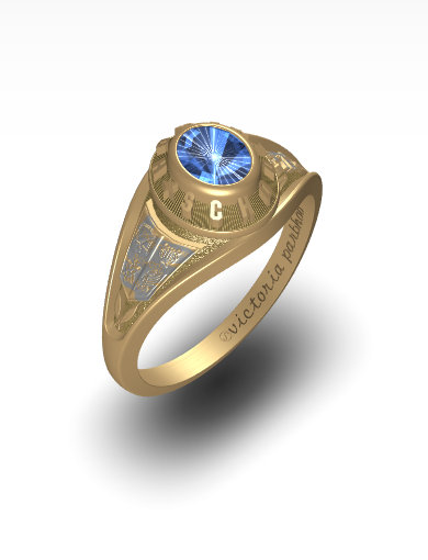 Princess class ring cheap