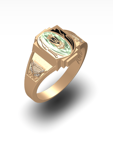 High School Class Rings Herff Jones