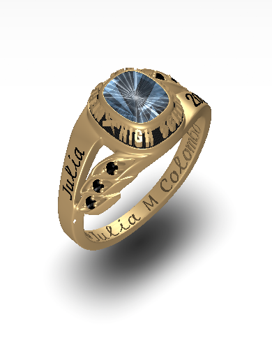Design my own class ring hotsell