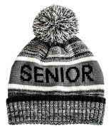 Other - Pom Beanie