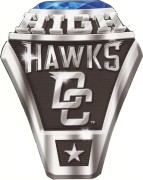 High School Ring