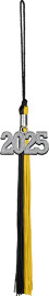 2024 Souvenir Memory Tassel