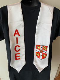 Other - AICE White Stole