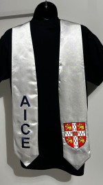 Other - AICE Silver stole