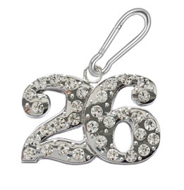 Other - Ice Pendant / Zipper Pull