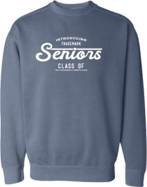 Hoodies - COMFORT COLORS SWEATSHIRT