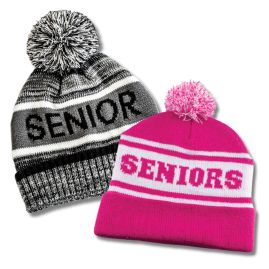 Other - Pom Beanie