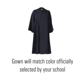 Gown ONLY