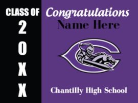 Other - Senior 2024 Yard Sign