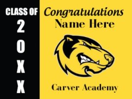 Other - Senior 2024 Yard Sign