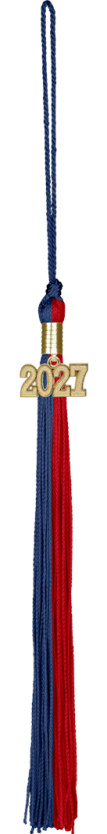 Souvenir Memory Tassel
