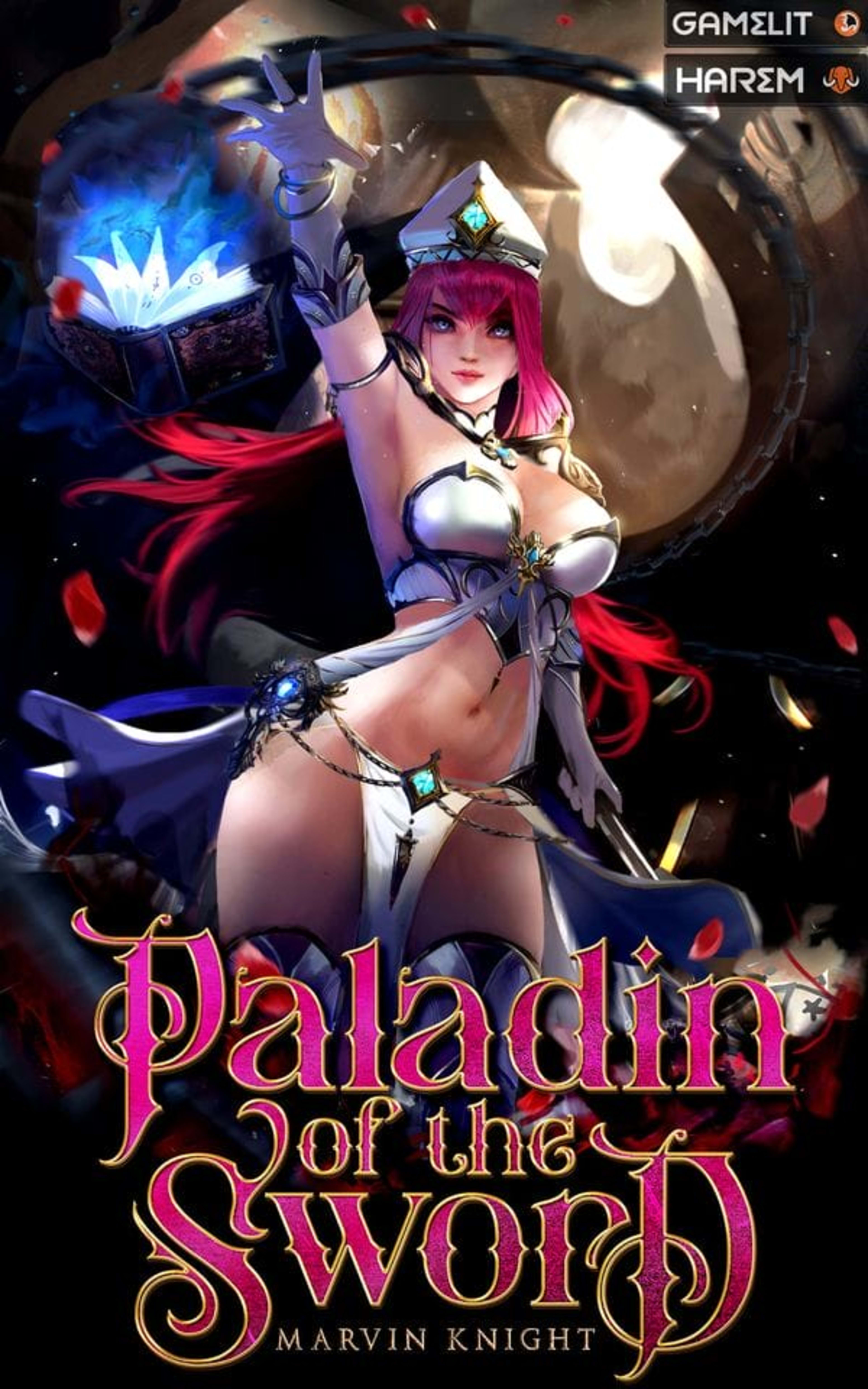 Cover for Paladin of the Sword