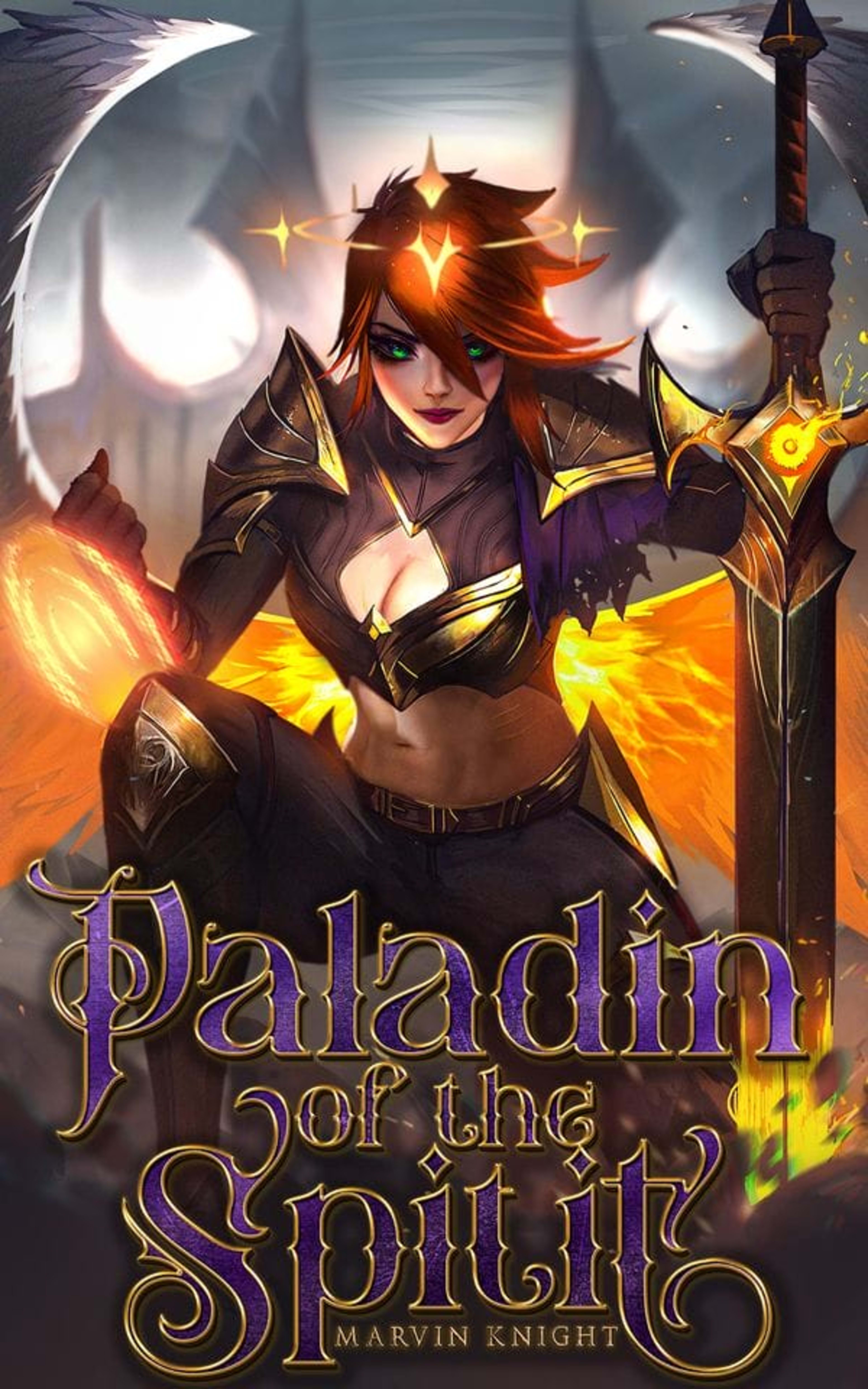 Cover for Paladin of the Spirit