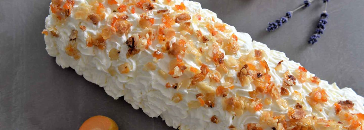 Aprikosen mango glacecake_1900.jpg
