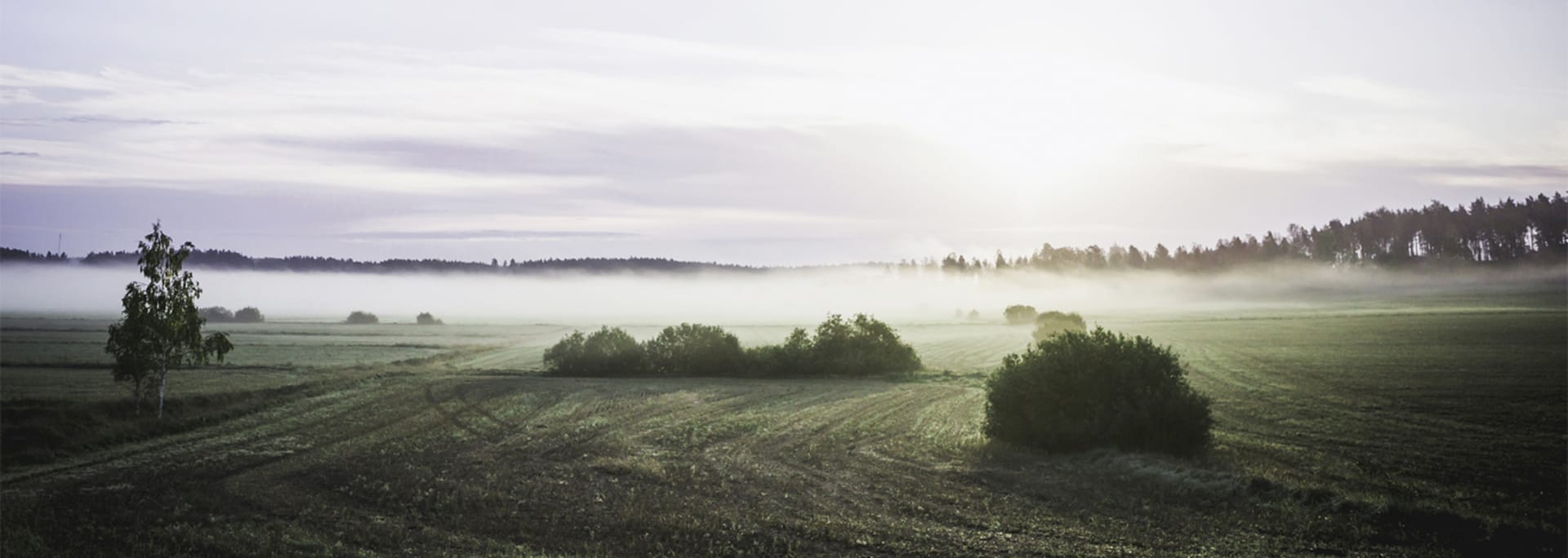 Tietosuojakäytäntö