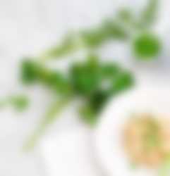 Laga egen mat - Semper Barnmat