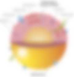 Illustration av mjölkfettkulemembran