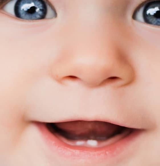 La Aparicion De Los Primeros Dientes De Tu Bebe Hero
