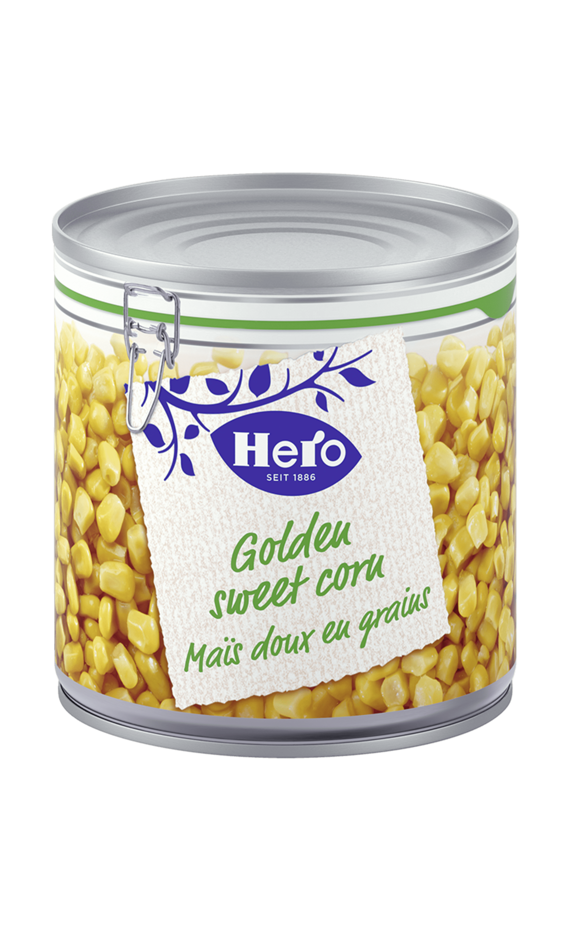 Golden Sweet Corn | Hern 