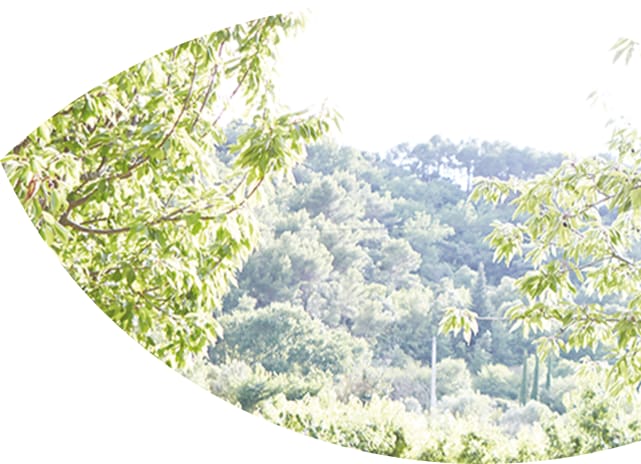 Hero Baum mit Leiter