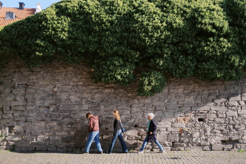 Joakim Hertze &mdash; Swedish portrait and editorial photographer &mdash; Gotland at last, image 21