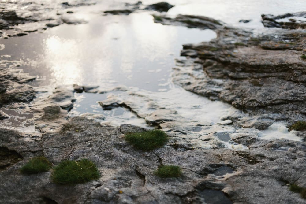 Joakim Hertze &mdash; Swedish portrait and editorial photographer &mdash; Gotland at last, image 36