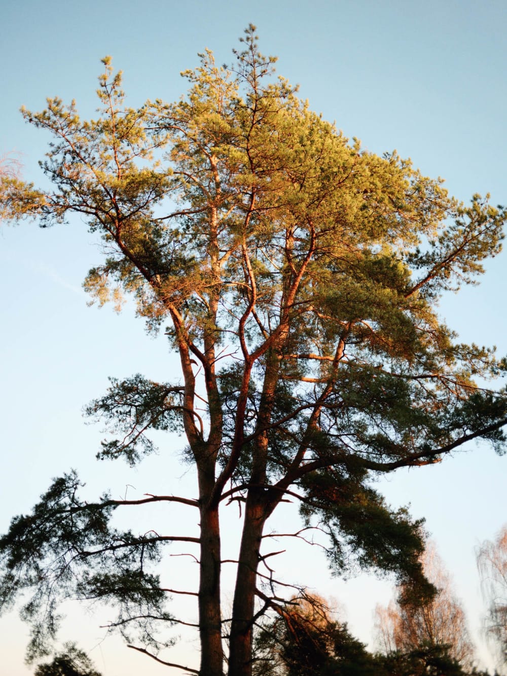 Joakim Hertze &mdash; Swedish portrait and editorial photographer &mdash; Thrifted, image 1