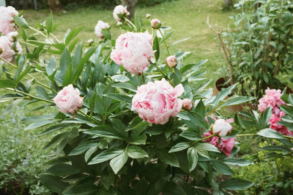 Joakim Hertze &mdash; Swedish portrait and editorial photographer &mdash; Graduation week, image 2