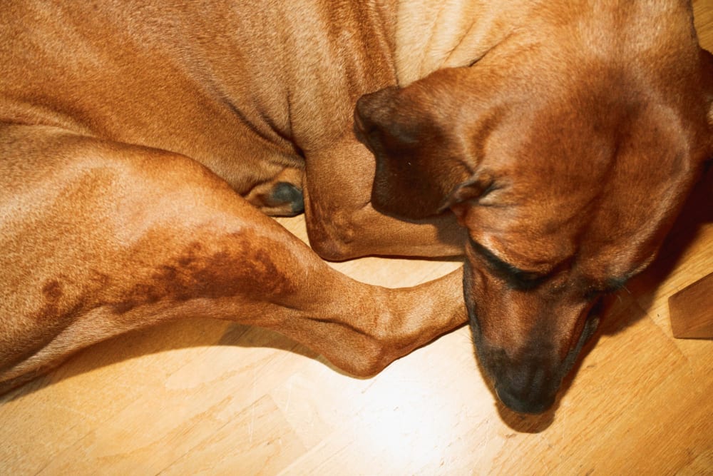 Joakim Hertze &mdash; Swedish portrait and editorial photographer &mdash; Graduation week, image 10