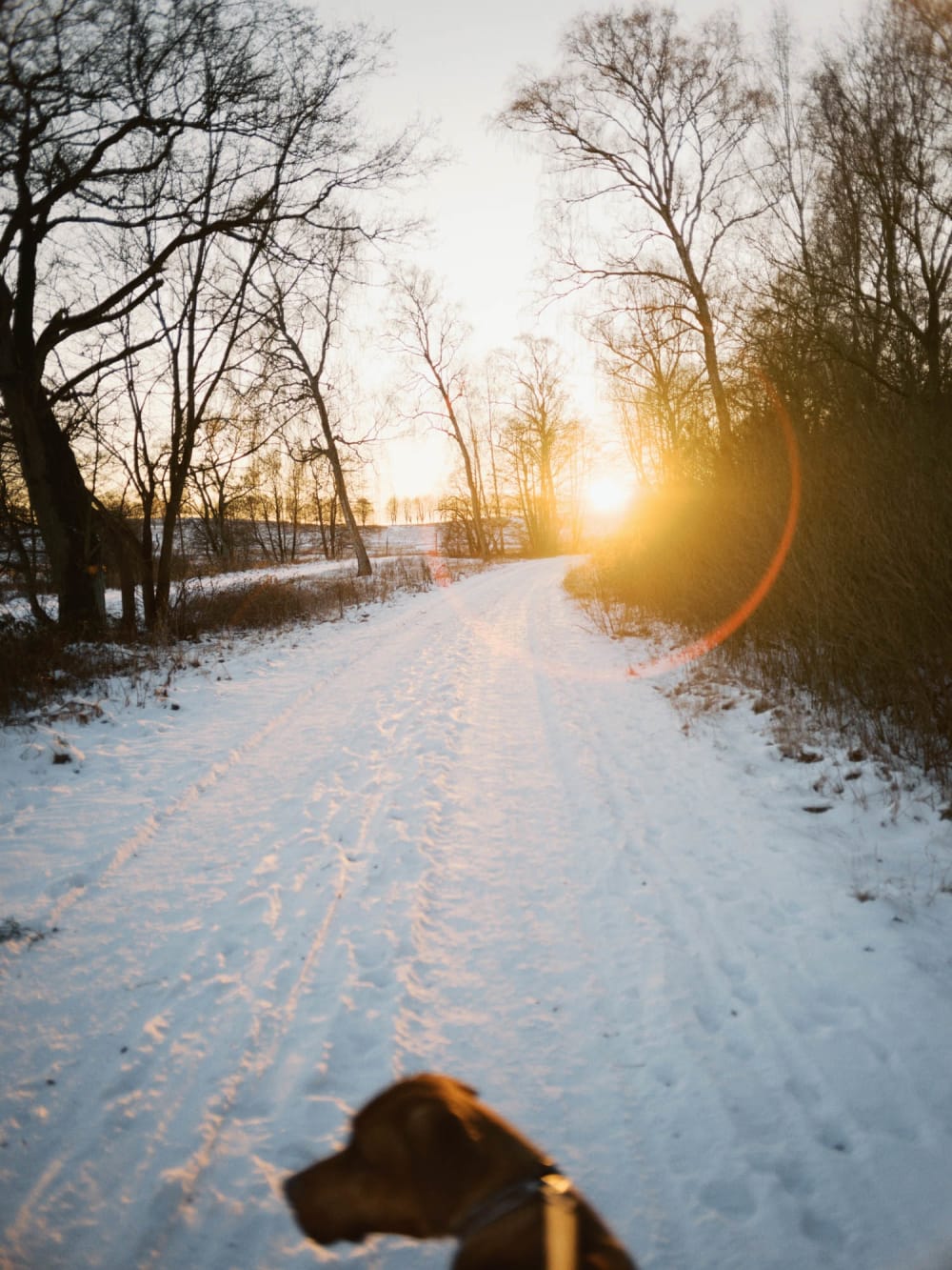 Joakim Hertze &mdash; Swedish portrait and editorial photographer &mdash; January, image 14