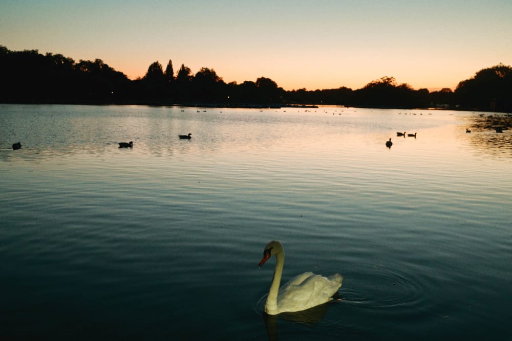 Joakim Hertze &mdash; Swedish portrait and editorial photographer &mdash; Weekend in London, image 35