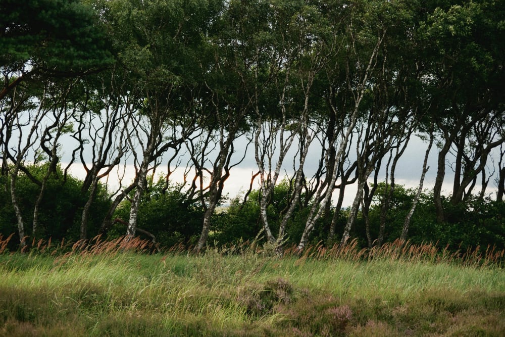 Joakim Hertze &mdash; Swedish portrait and editorial photographer &mdash; Swedish summers are short and sweet, image 1