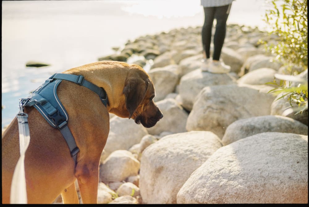 Joakim Hertze &mdash; Swedish portrait and editorial photographer &mdash; Poser Frames, image 3