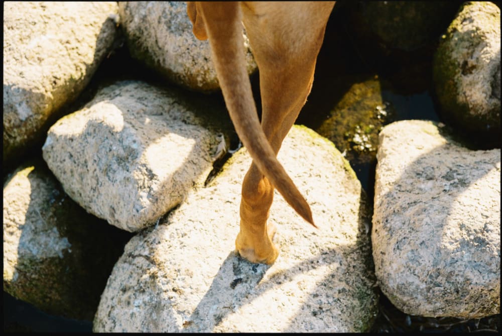 Joakim Hertze &mdash; Swedish portrait and editorial photographer &mdash; Poser Frames, image 8