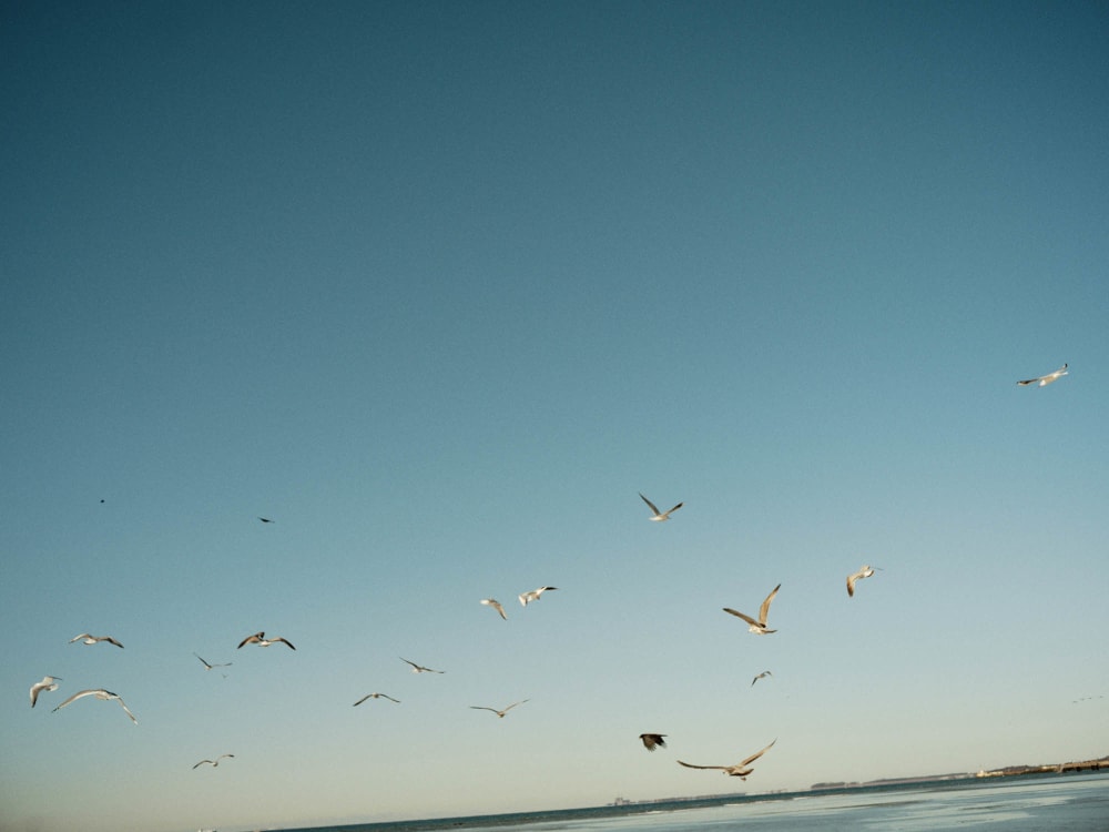 Joakim Hertze &mdash; Swedish portrait and editorial photographer &mdash; Best of 2025, image 5