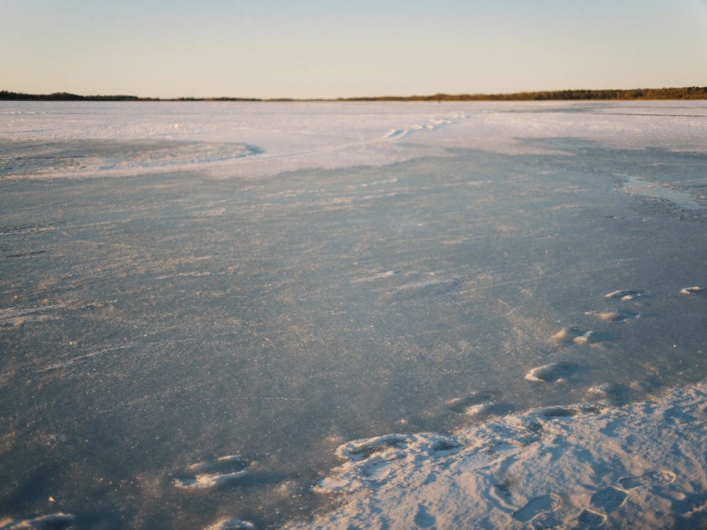 Joakim Hertze &mdash; Swedish portrait and editorial photographer &mdash; January, image 3