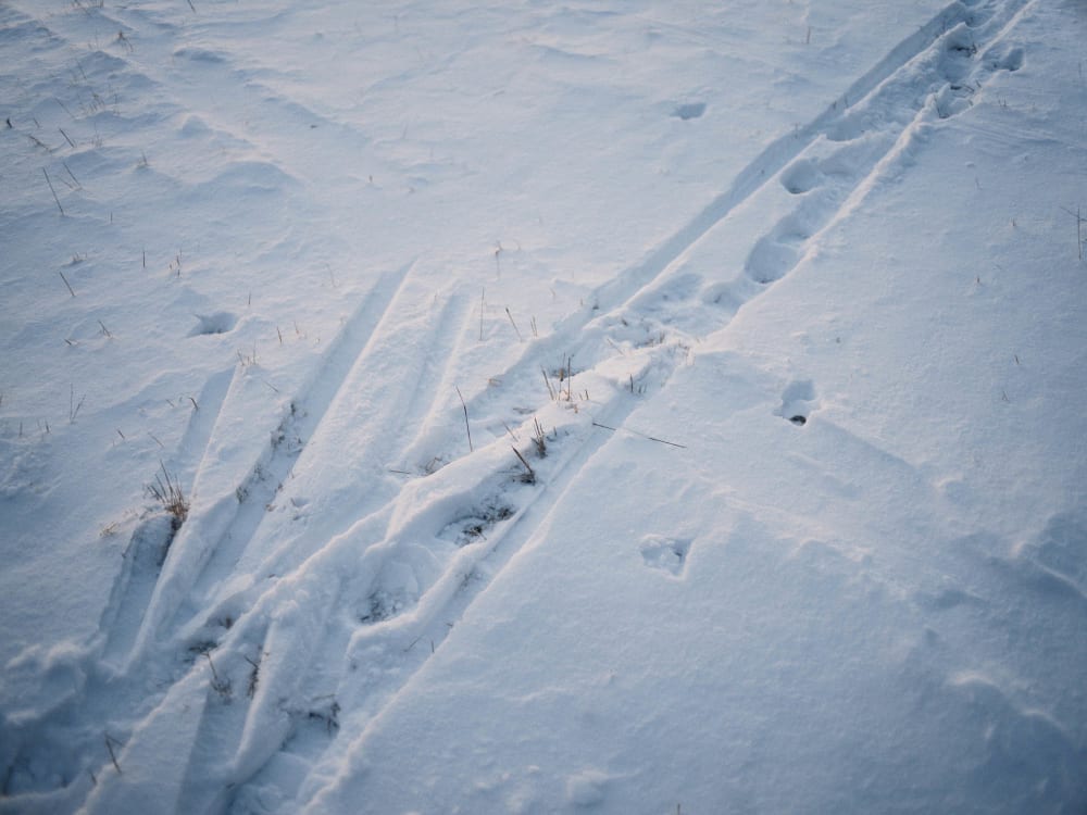 Joakim Hertze &mdash; Swedish portrait and editorial photographer &mdash; January, image 17