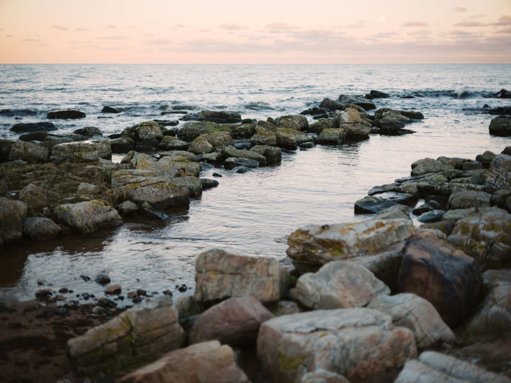 Joakim Hertze &mdash; Swedish portrait and editorial photographer &mdash; Vårhallarna, image 9