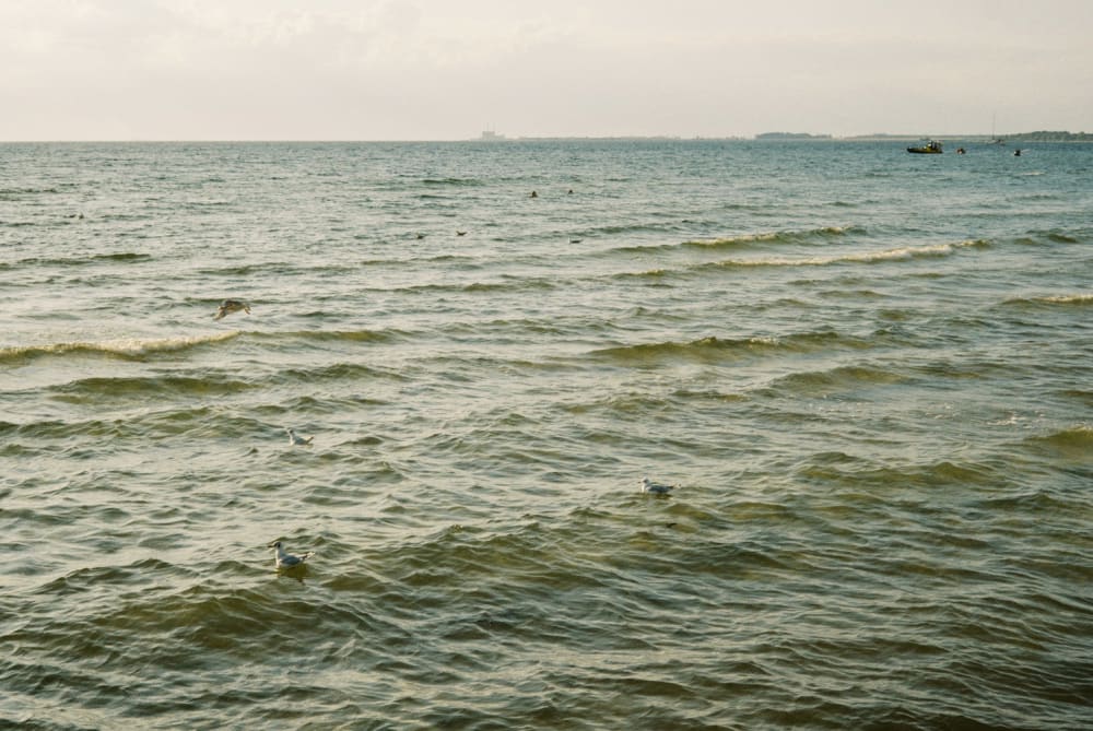 Joakim Hertze &mdash; Swedish portrait and editorial photographer &mdash; Voigtländer Nokton 35mm F1.2 X --- a lens for the soul, image 7