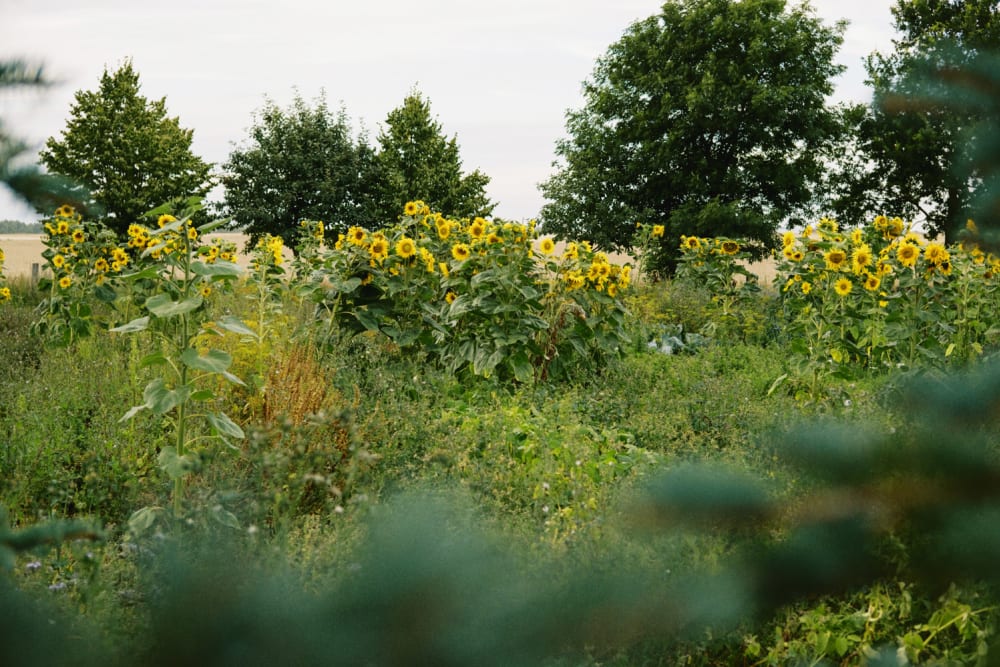 Joakim Hertze &mdash; Swedish portrait and editorial photographer &mdash; Voigtländer Nokton 35mm F1.2 X --- a lens for the soul, image 15