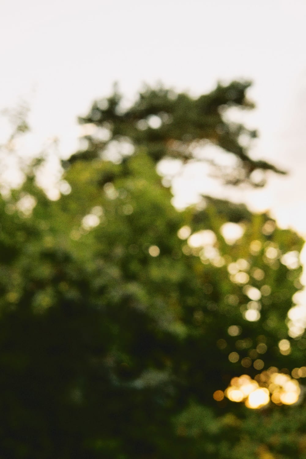 Joakim Hertze &mdash; Swedish portrait and editorial photographer &mdash; Voigtländer Nokton 35mm F1.2 X --- a lens for the soul, image 16