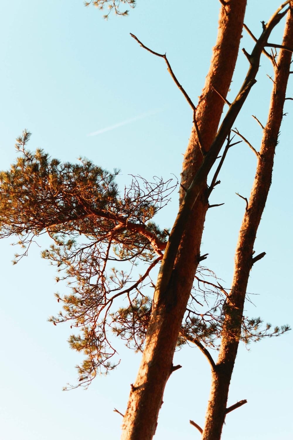 Joakim Hertze &mdash; Swedish portrait and editorial photographer &mdash; Sharpening my axe, image 10