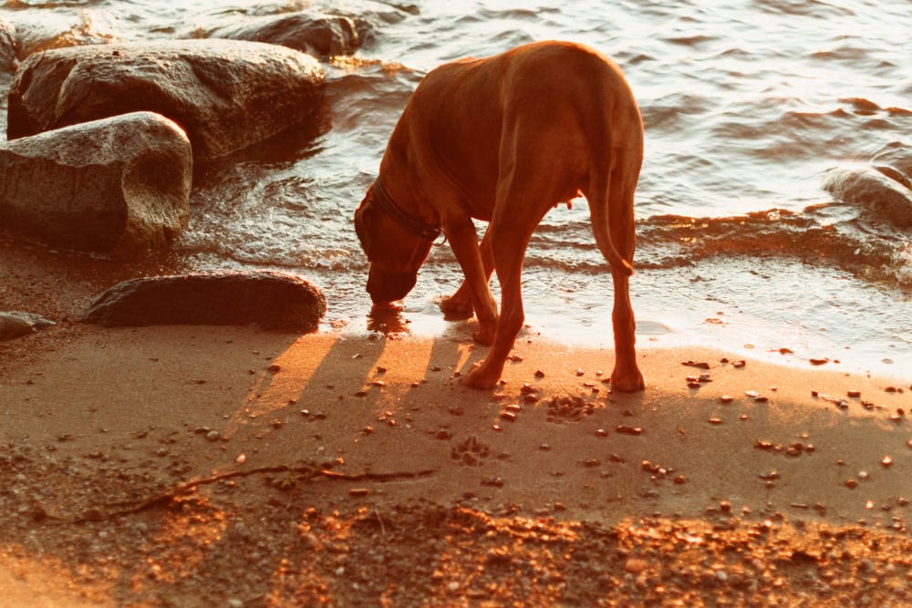 Joakim Hertze &mdash; Swedish portrait and editorial photographer &mdash; Sharpening my axe, image 13