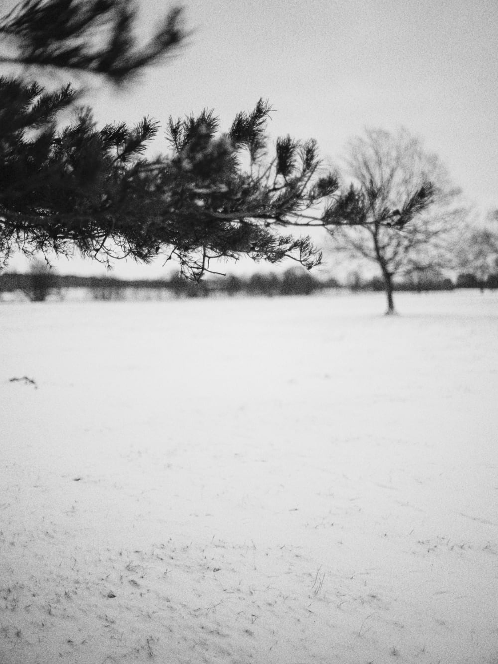 Joakim Hertze &mdash; Swedish portrait and editorial photographer &mdash; Winter walk, image 2