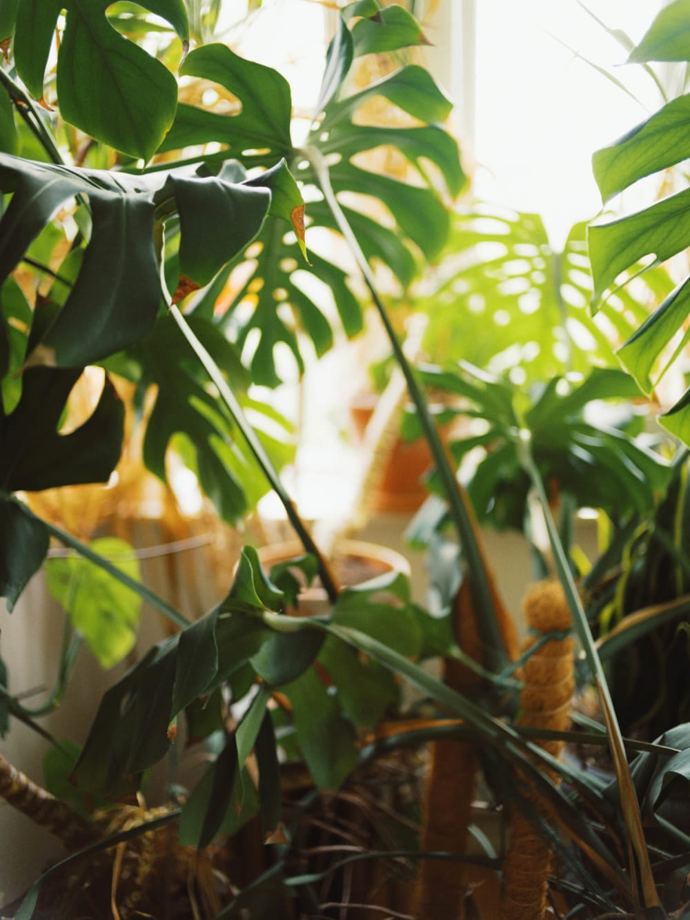 Joakim Hertze — Swedish portrait and editorial photographer — The complete house tour, image 15