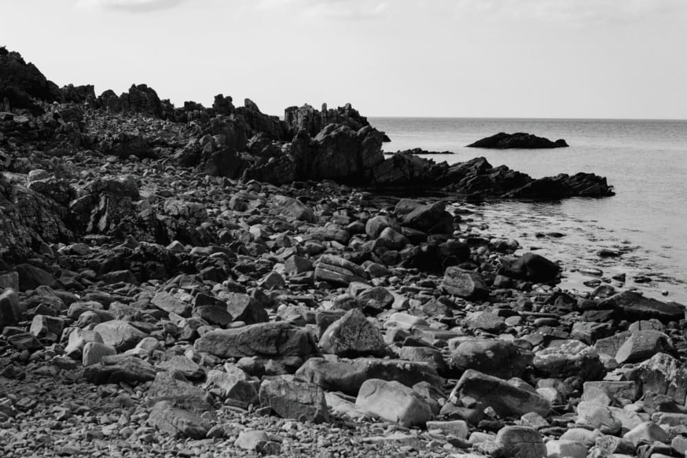 Joakim Hertze — Swedish portrait and editorial photographer — Bee at Hovs Hallar, image 1