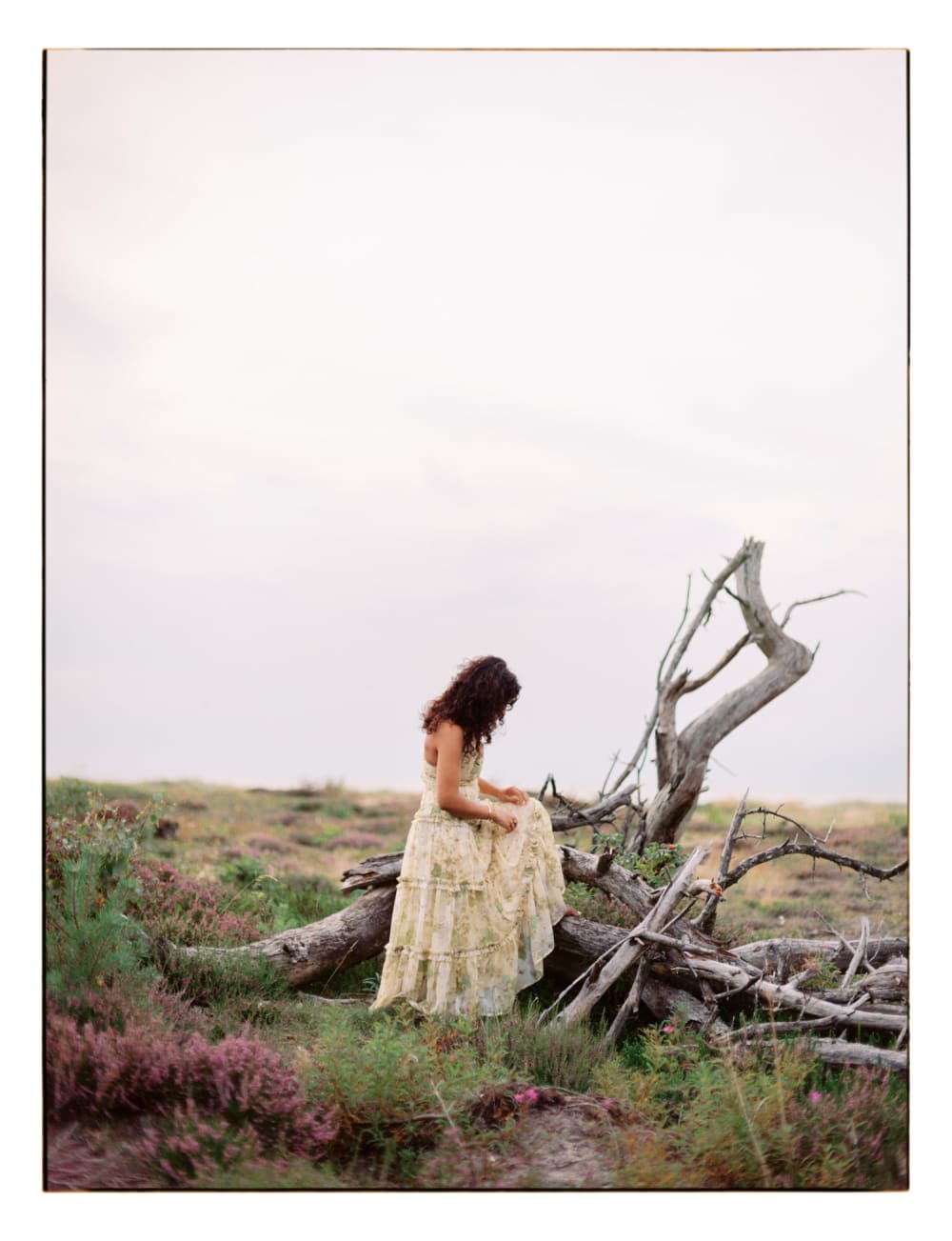 Joakim Hertze — Swedish portrait and editorial photographer — Bee at Hovs Hallar, image 22